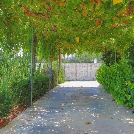 Villa Aphrodite Finiki Полис Экстерьер фото